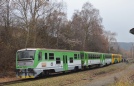TN_2012-11-23_Domousice_914001_Marsal.jpg