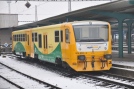 TN_2012-02-13_Pardubice_914010_Vlada_Musil.jpg