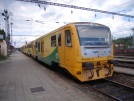 TN_2011-06-25_Tabor_914012_Vit_Hincica.jpg