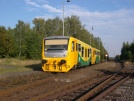 TN_2007-09-22_Pansky_914032_Chroust.jpg