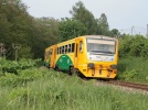TN_2008-05-27_Domousice_814033_Josef_Mracek.jpg