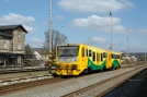 TN_2014-03-28_Ostromer_814038_David_Prause.jpg
