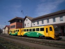 TN_2009-04-25_Domazlice_814039_Vit_Hincica.jpg