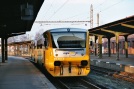 TN_2008-02-10_Pardubice_814041_Jgcp.jpg