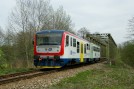 TN_2019-04-26_Brevnice_HavlBrod_914048_David_Prause.jpg