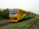 TN_2012-07-00_Smidary_814055_Honza215.jpg