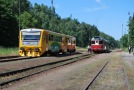 TN_2009-06-14_Revnicov_814059_Ali.jpg