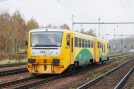 TN_2009-10-29_Havlickuv_Brod_814067_Vlada_Musil.jpg
