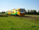 TN_2009-07-27_Dohalice_914078_Honza215.jpg