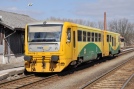 TN_2012-03-19_Krinec_814078_Vlada_Musil.jpg