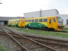 TN_2010-05-11_Plzen_814088_Frantafira.jpg