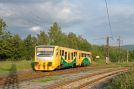 TN_2013-06-17_Louka_u_Litvinova_914090_Josef_Mracek.jpg