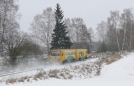 TN_2017-01-03_Brezova_u_Broumova_814107_Tomas_Sagner.jpg