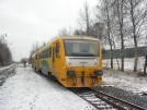 TN_2011-02-13_Pansky_814127_753006.jpg