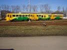 TN_2007-03-13_Pars_814201_Serak.jpg