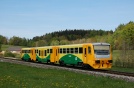 TN_2007-05-03_Studanka_814203_Vlada_Musil.jpg