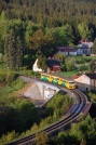 TN_2009-05-12_Tanvald_814203+204_Pavel_Sturm.jpg