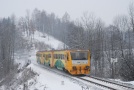 TN_2009-12-19_Dolanky_814213_Vlada_Musil.jpg