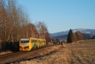 TN_2008-12-31_Raspenava_814216_Vlada_Musil.jpg