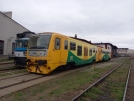 TN_2022-04-24_Hradec_Kralove_914300_Honza215.jpg