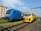 TN_Herkules+814120_Sakal.jpg